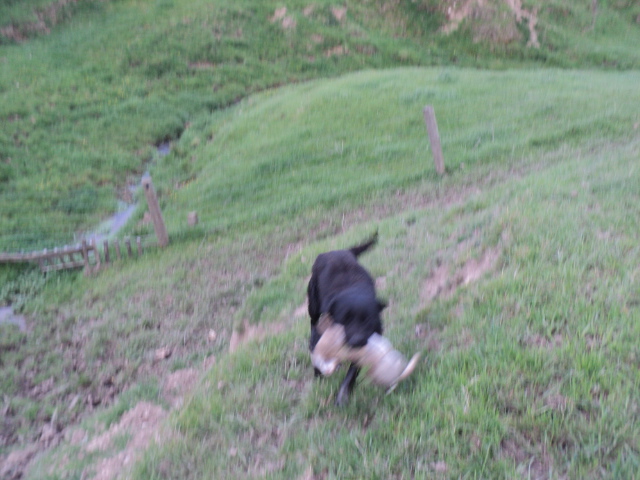Name:  picture 01 4377.jpg
Views: 375
Size:  164.8 KB