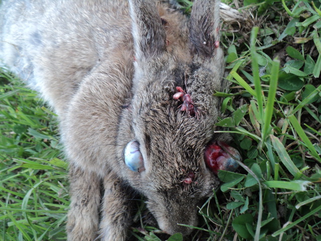 Name:  picture 01 4379.jpg
Views: 409
Size:  164.8 KB