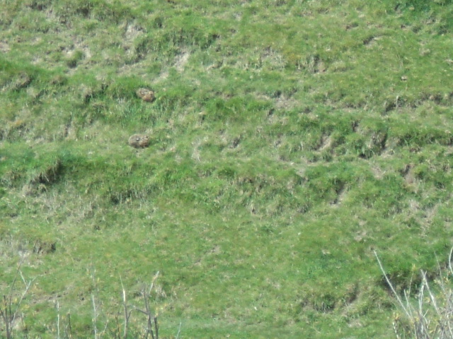 Name:  picture 01 4383.jpg
Views: 326
Size:  164.9 KB