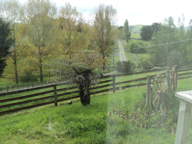 Name:  picture 01 4364.jpg
Views: 308
Size:  164.8 KB