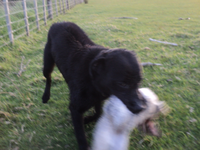 Name:  picture 01 4420.jpg
Views: 267
Size:  162.6 KB