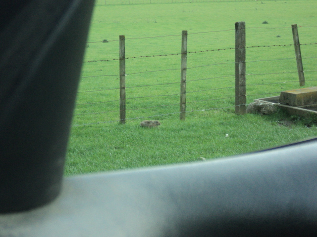Name:  picture 01 4517.jpg
Views: 302
Size:  162.5 KB