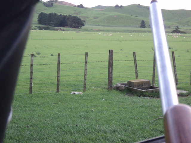 Name:  picture 01 4518.jpg
Views: 302
Size:  165.2 KB