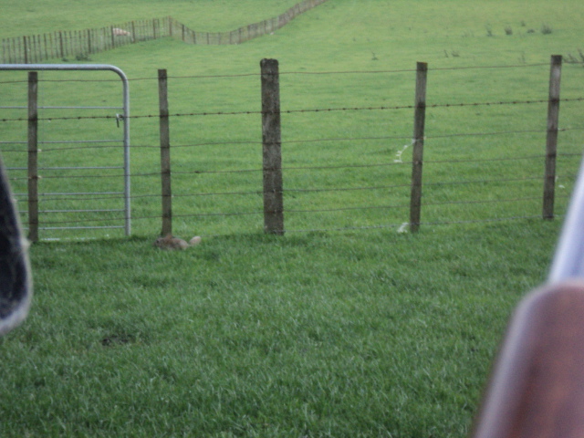 Name:  picture 01 4519.jpg
Views: 285
Size:  164.7 KB