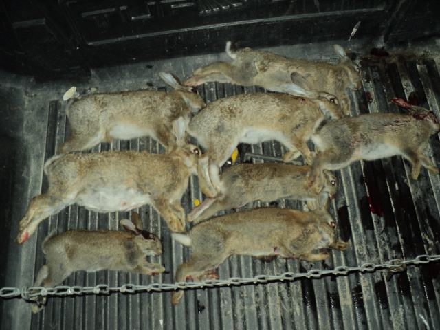 Name:  picture 01 4555.jpg
Views: 357
Size:  163.8 KB