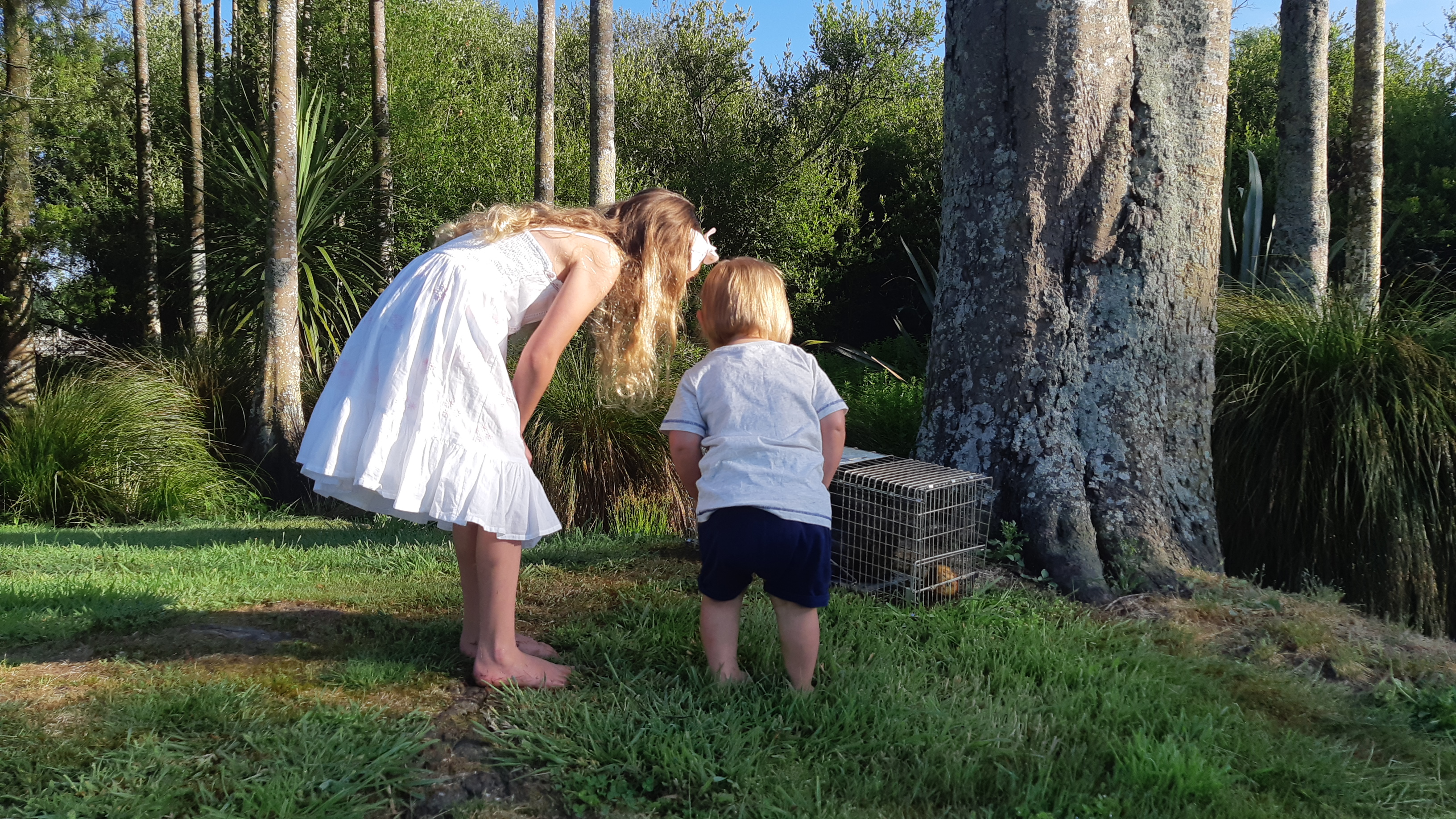 Name:  20191212_075219.jpg
Views: 310
Size:  3.19 MB