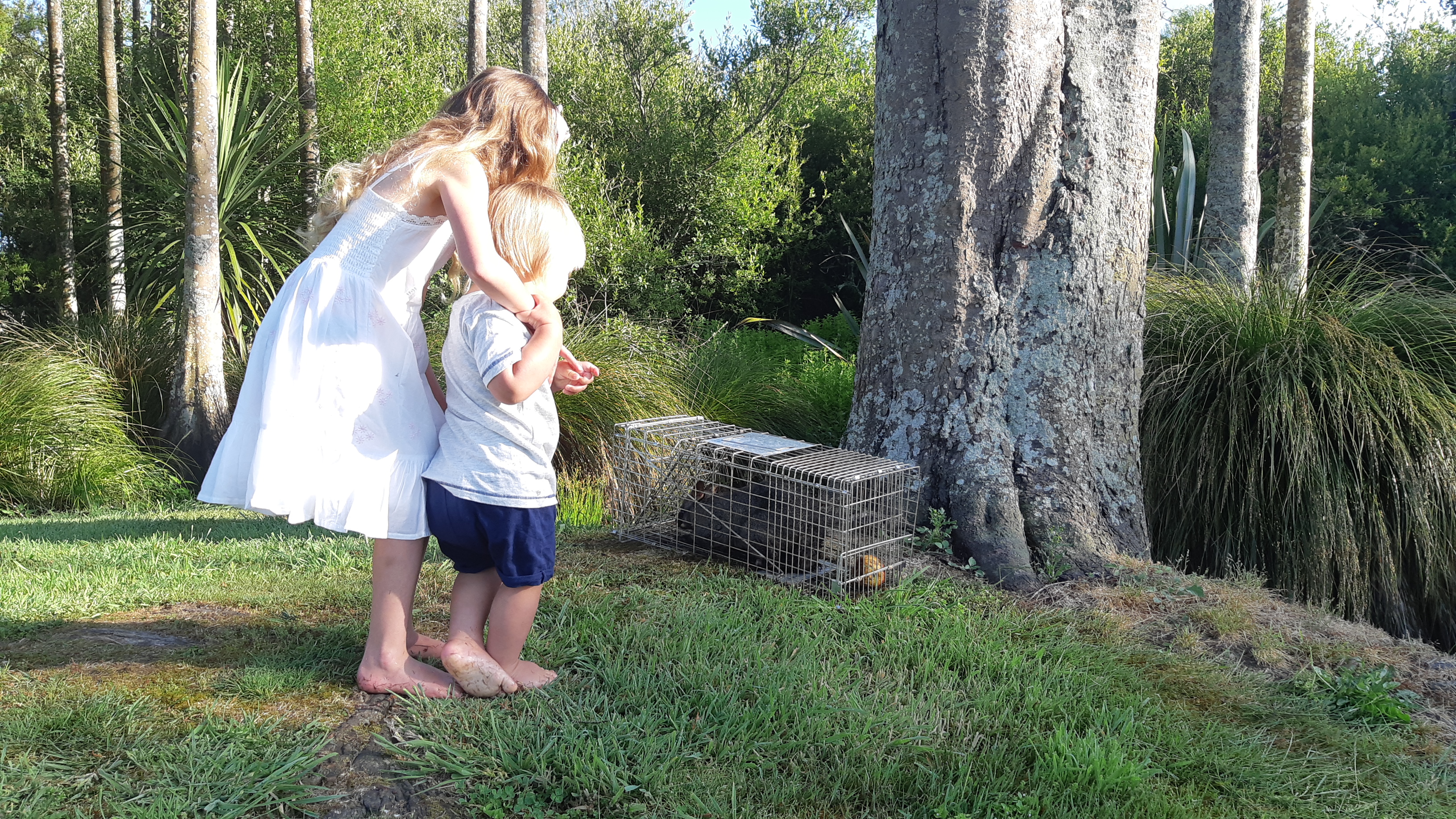 Name:  20191212_075214.jpg
Views: 326
Size:  4.05 MB