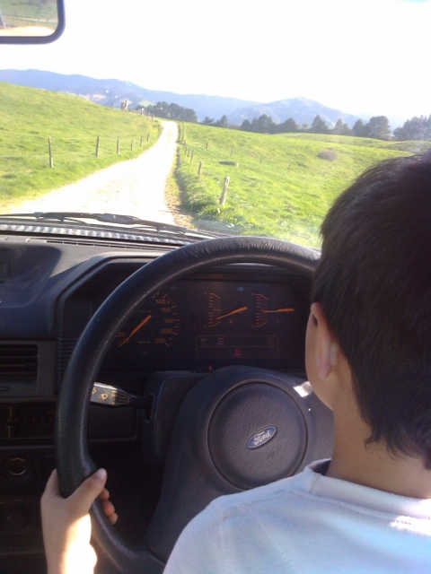 Name:  IMG_20130728_104725 (480x640).jpg
Views: 467
Size:  165.0 KB