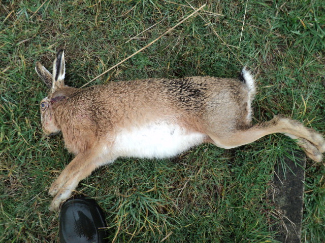 Name:  picture 2111.jpg
Views: 818
Size:  164.6 KB
