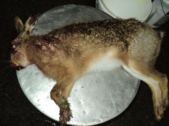 Name:  picture 2120.jpg
Views: 838
Size:  165.0 KB