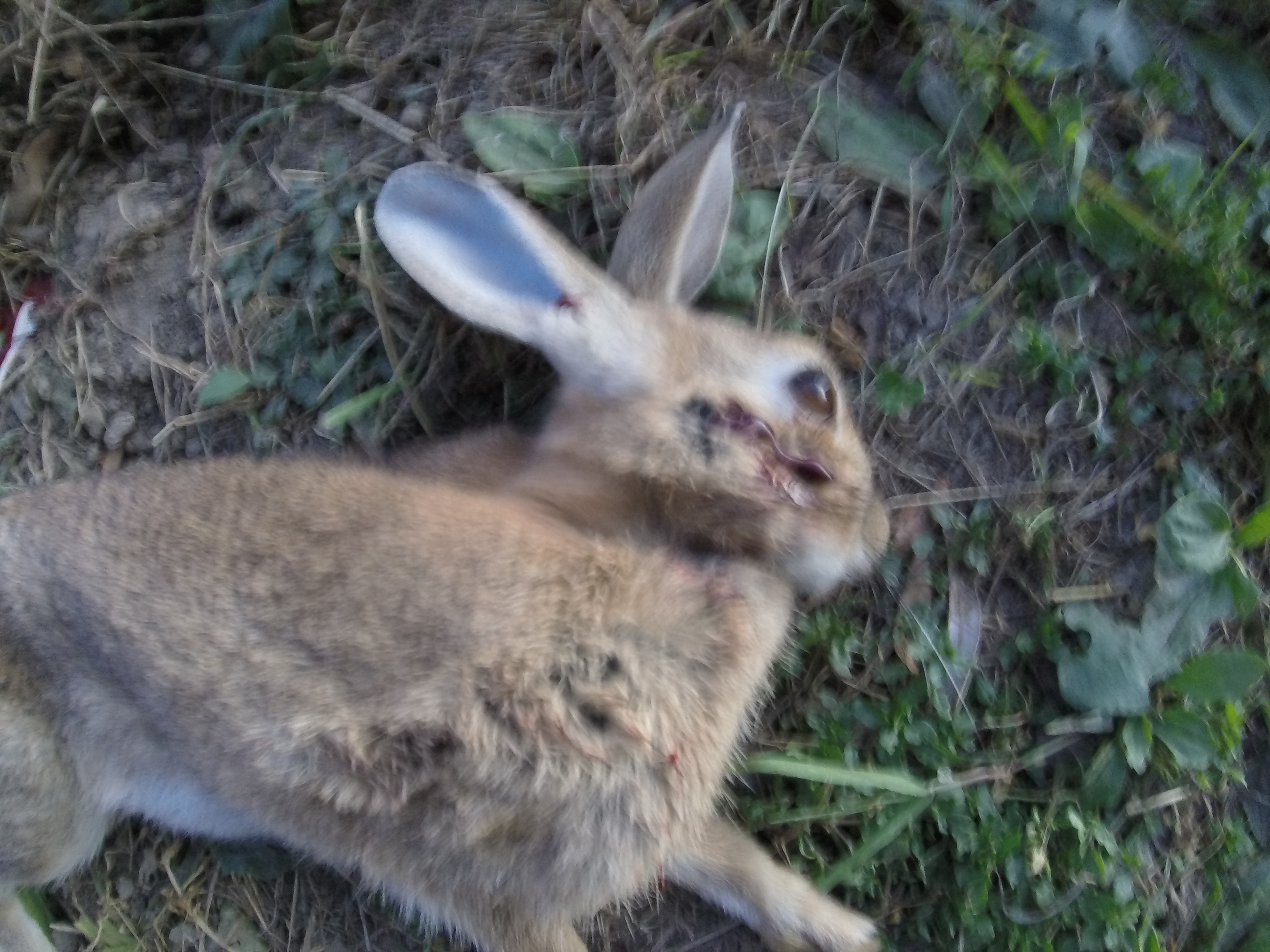 Name:  headshot.JPG
Views: 228
Size:  2.04 MB