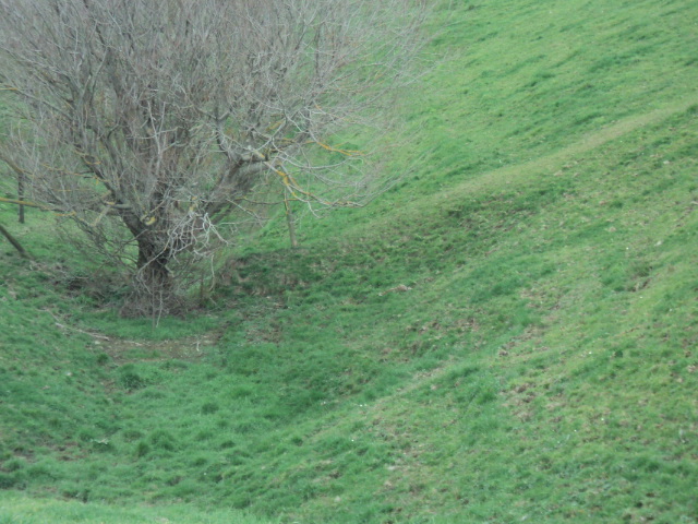 Name:  picture 2128.jpg
Views: 349
Size:  163.2 KB