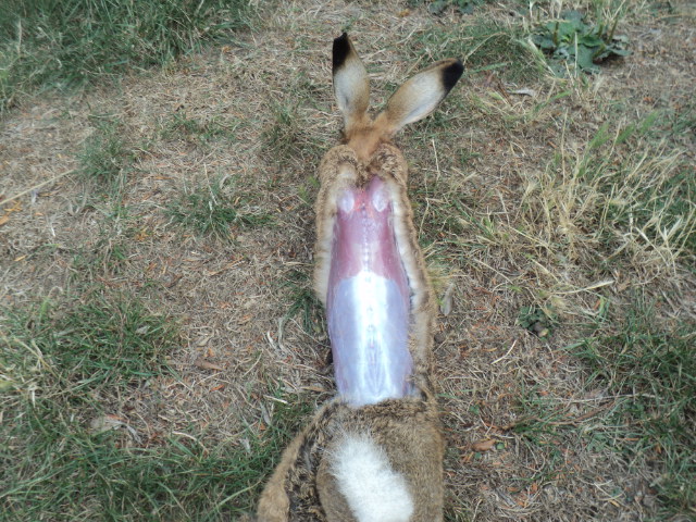 Name:  picture 01 388.jpg
Views: 301
Size:  165.2 KB
