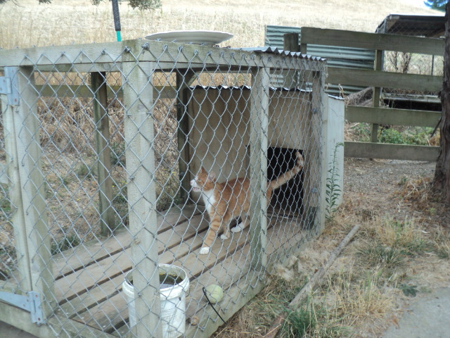Name:  picture 01 389.jpg
Views: 301
Size:  164.7 KB