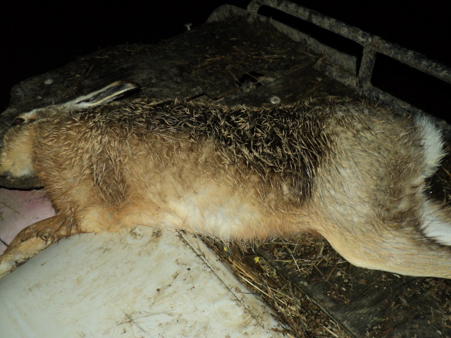 Name:  picture 2145.jpg
Views: 357
Size:  165.3 KB