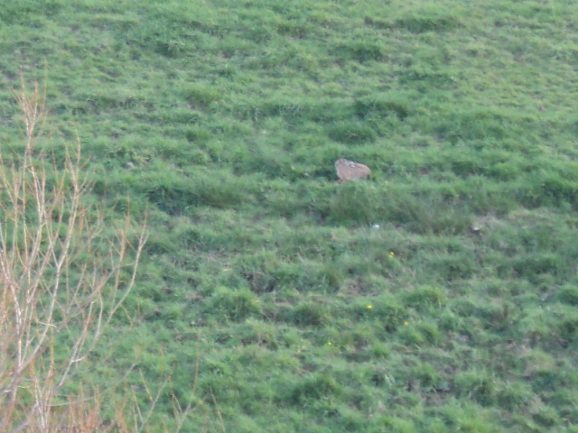 Name:  picture 2148.jpg
Views: 290
Size:  165.3 KB