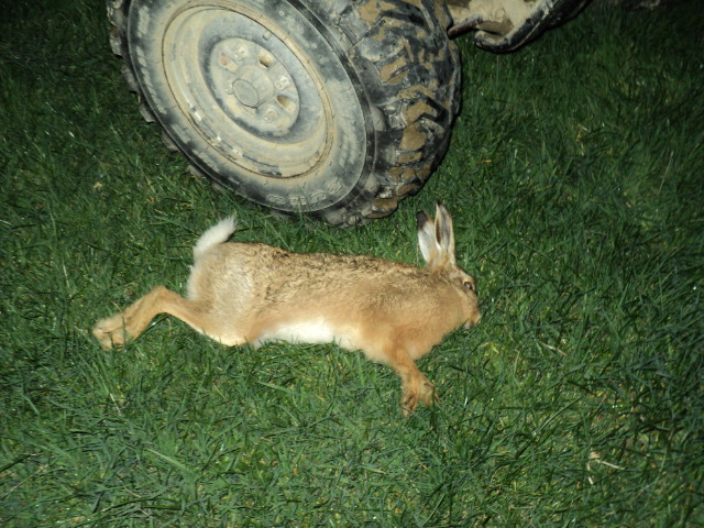 Name:  picture 2151.jpg
Views: 356
Size:  164.6 KB