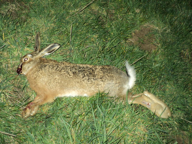 Name:  picture 2162.jpg
Views: 405
Size:  164.8 KB