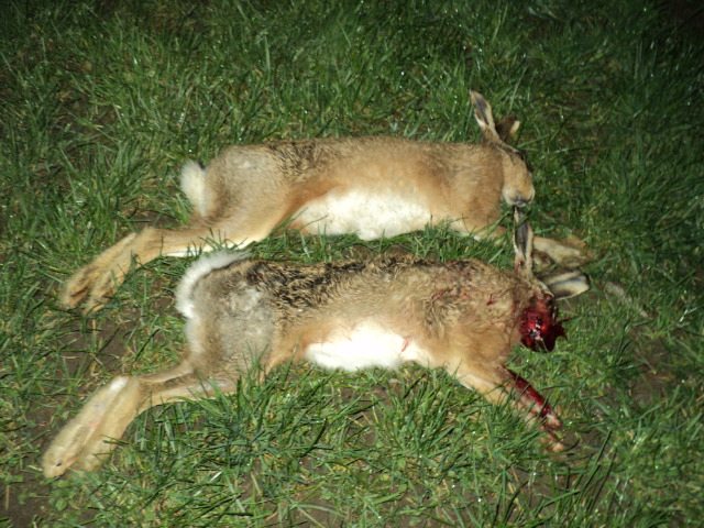 Name:  picture 2163.jpg
Views: 381
Size:  164.7 KB