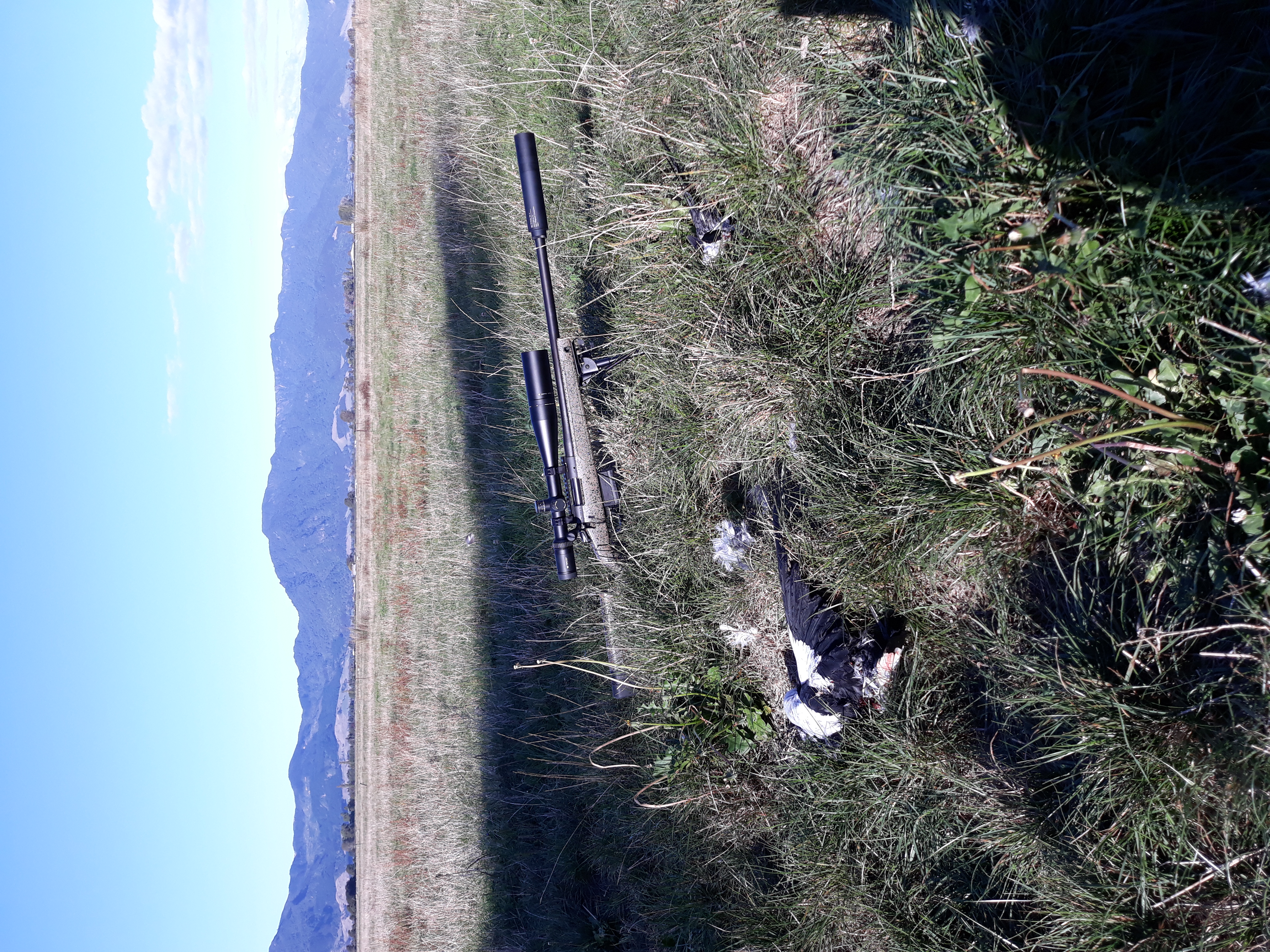 Name:  20200404_171155.jpg
Views: 514
Size:  8.03 MB