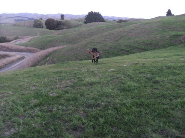 Name:  picture 01 505.jpg
Views: 210
Size:  163.1 KB
