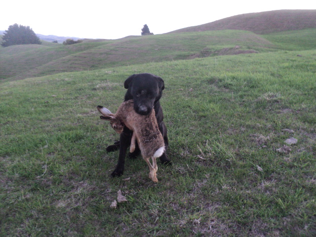 Name:  picture 01 510.jpg
Views: 217
Size:  163.0 KB
