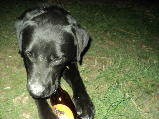 Name:  picture 01 527.jpg
Views: 222
Size:  163.1 KB