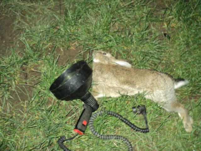 Name:  picture 2169.jpg
Views: 401
Size:  165.2 KB