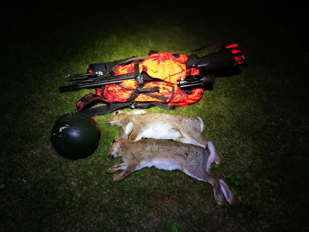 Name:  rabbit-watermellon.jpg
Views: 326
Size:  148.2 KB