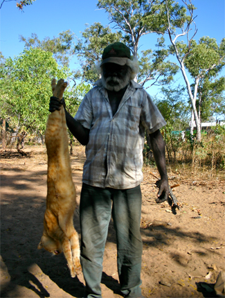 Name:  feral-cats-arnhem-land.jpg
Views: 184
Size:  188.5 KB