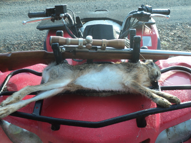 Name:  picture 01 598.jpg
Views: 226
Size:  165.1 KB
