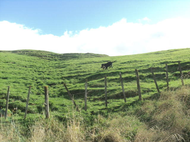Name:  picture 01 649.jpg
Views: 369
Size:  164.7 KB