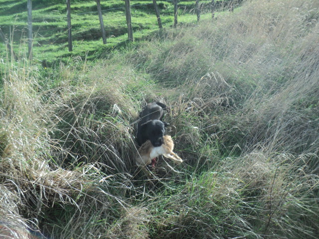 Name:  picture 01 650.jpg
Views: 336
Size:  165.2 KB