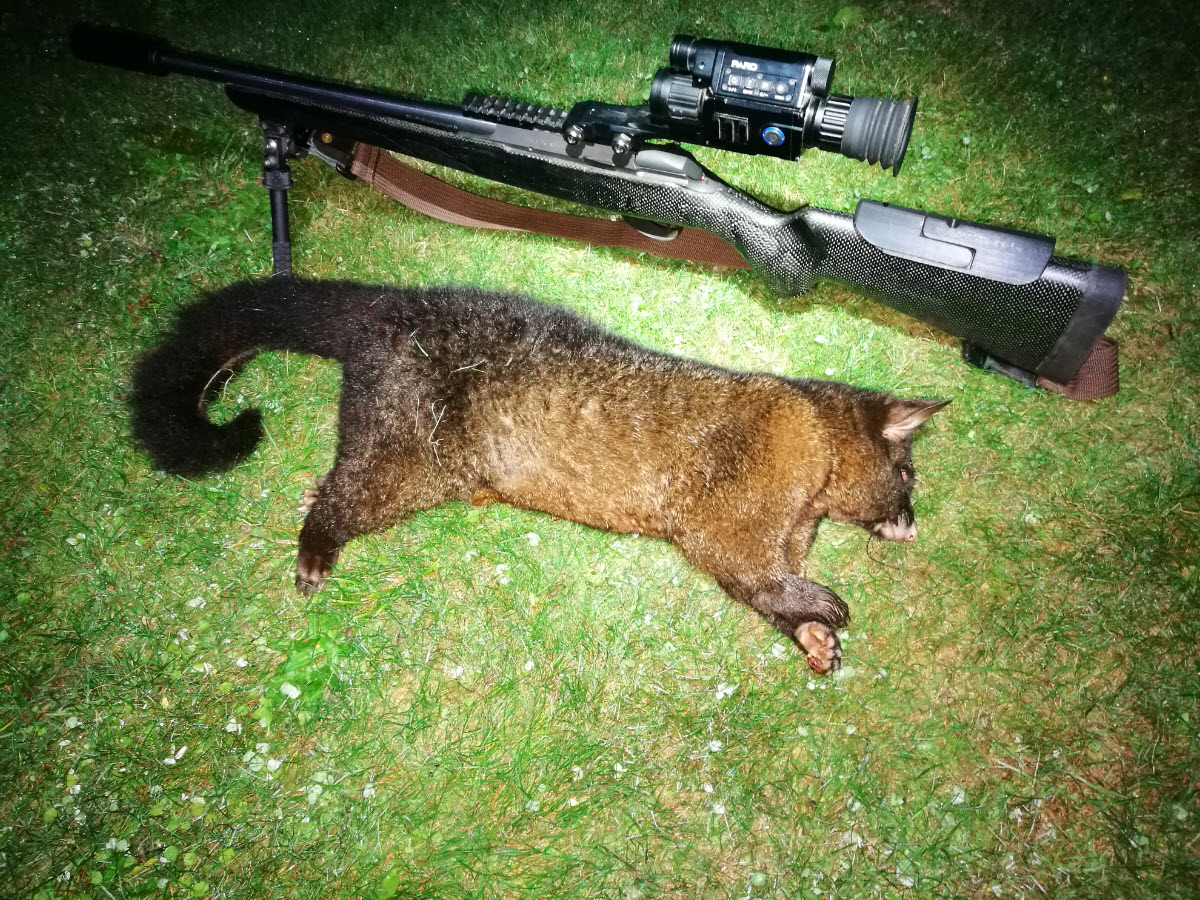 Name:  opossum.jpg
Views: 318
Size:  523.6 KB