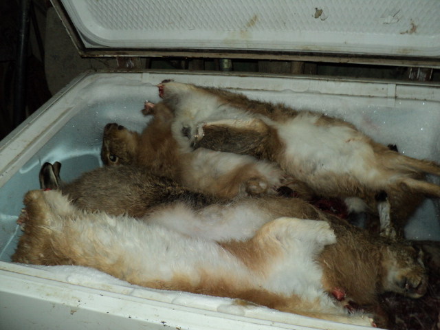 Name:  picture 2189.jpg
Views: 373
Size:  161.9 KB
