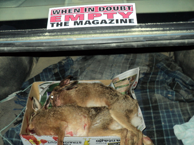 Name:  picture 2196 002.jpg
Views: 424
Size:  163.2 KB