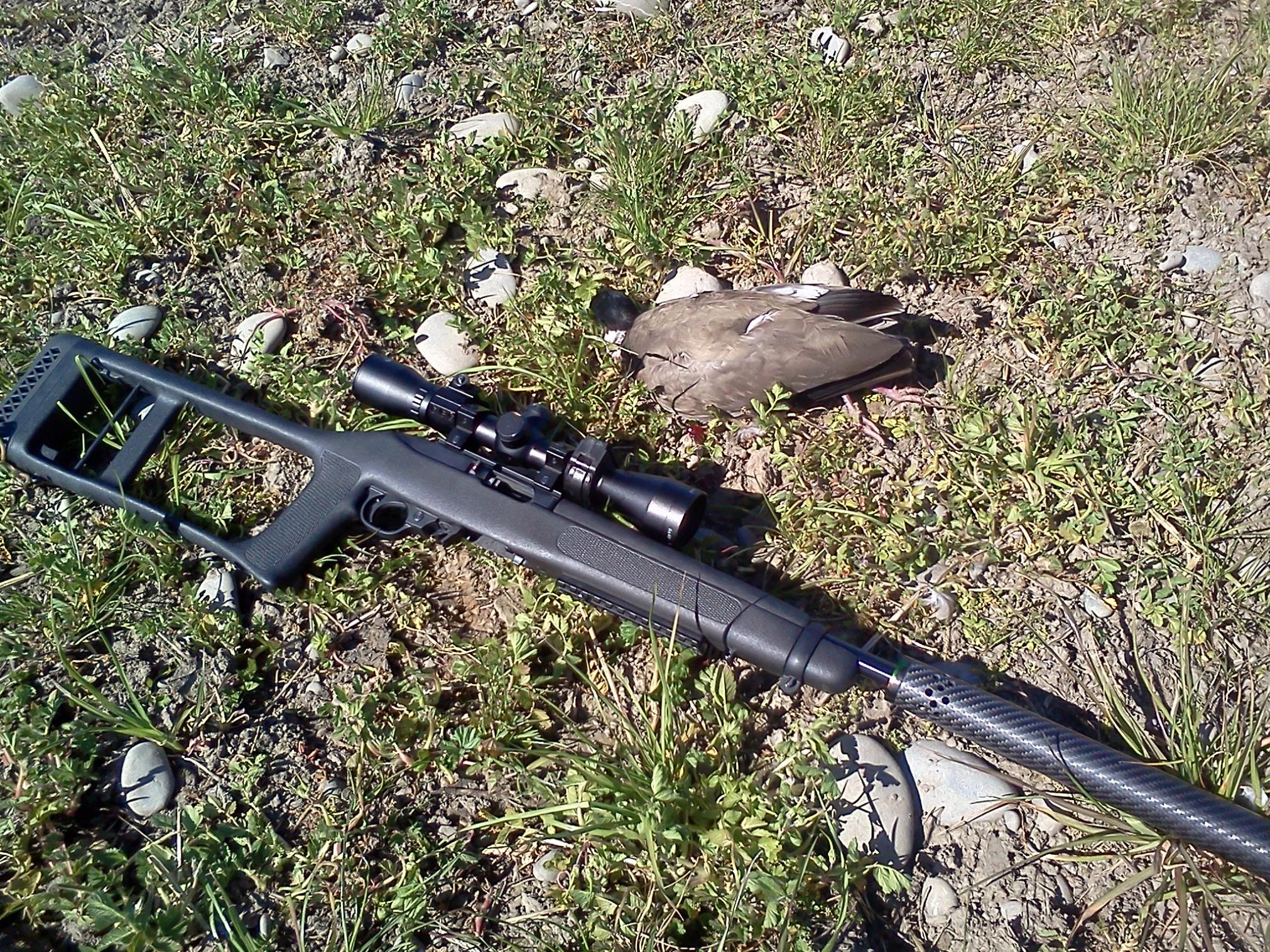 Name:  Plover.jpg
Views: 437
Size:  983.9 KB