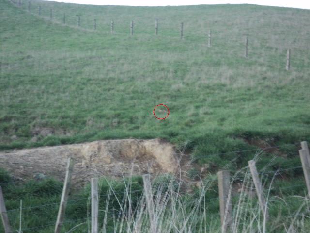 Name:  picture 01 1210.jpg
Views: 434
Size:  63.3 KB