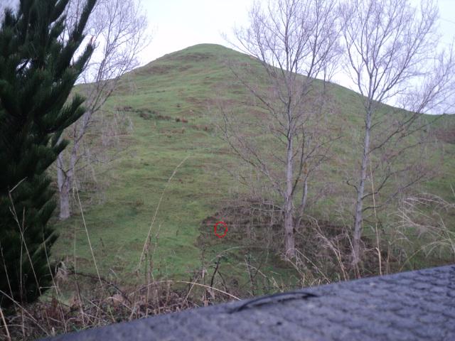 Name:  picture 01 1241.jpg
Views: 311
Size:  76.5 KB