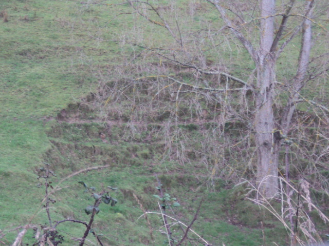 Name:  picture 01 1242.jpg
Views: 329
Size:  162.3 KB