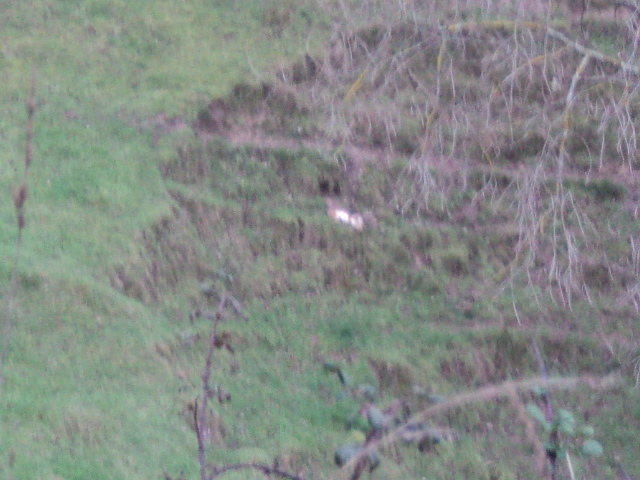 Name:  picture 01 1244.jpg
Views: 332
Size:  162.6 KB