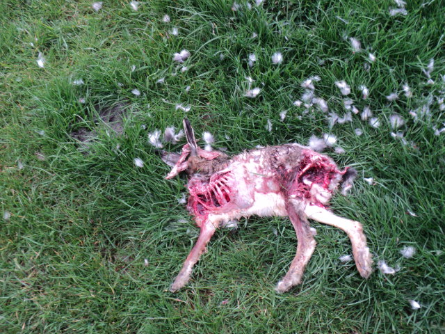 Name:  picture 2208.jpg
Views: 352
Size:  163.6 KB