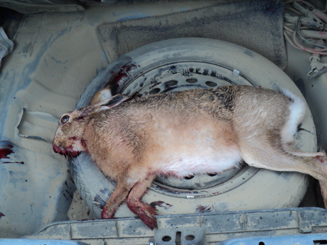 Name:  picture 2205.jpg
Views: 385
Size:  164.7 KB