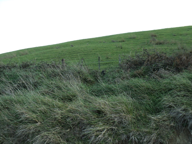 Name:  picture 2218.jpg
Views: 447
Size:  164.0 KB
