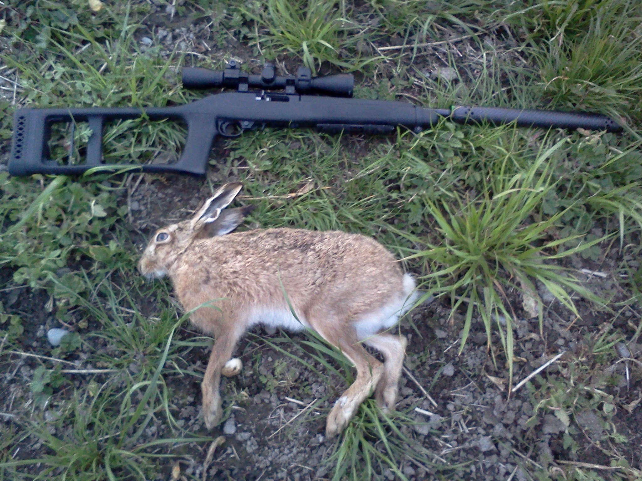 Name:  BANG BANG.jpg
Views: 441
Size:  844.6 KB