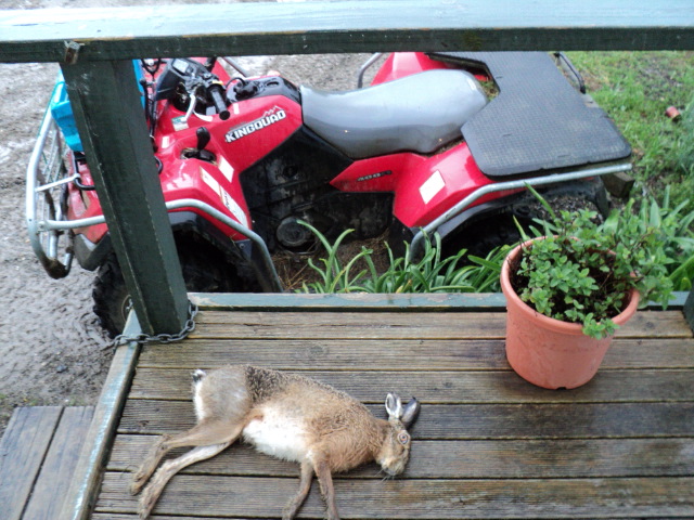 Name:  picture 2240.jpg
Views: 411
Size:  164.8 KB