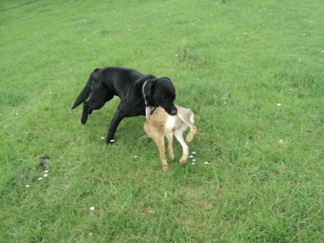 Name:  picture 01 1573.jpg
Views: 407
Size:  163.0 KB
