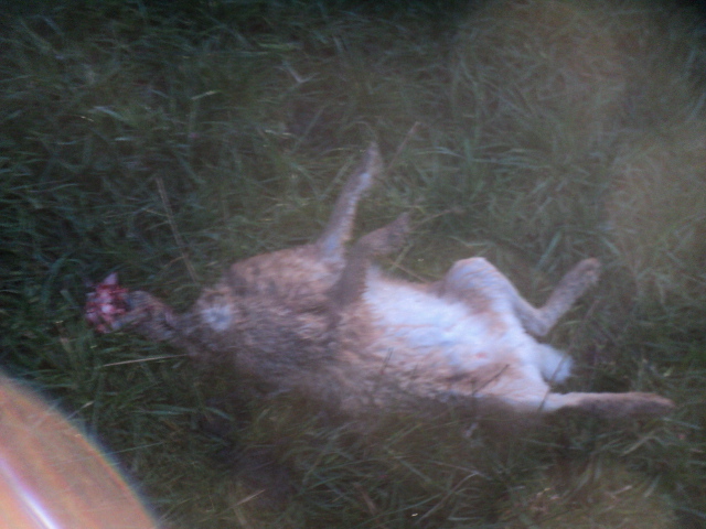 Name:  picture 01 1534.jpg
Views: 384
Size:  160.9 KB