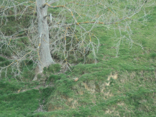 Name:  picture 01 1539.jpg
Views: 392
Size:  163.3 KB