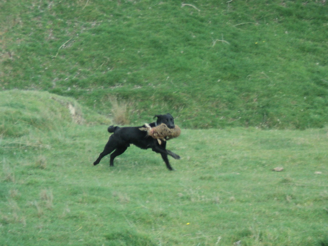 Name:  picture 01 1541.jpg
Views: 388
Size:  163.6 KB